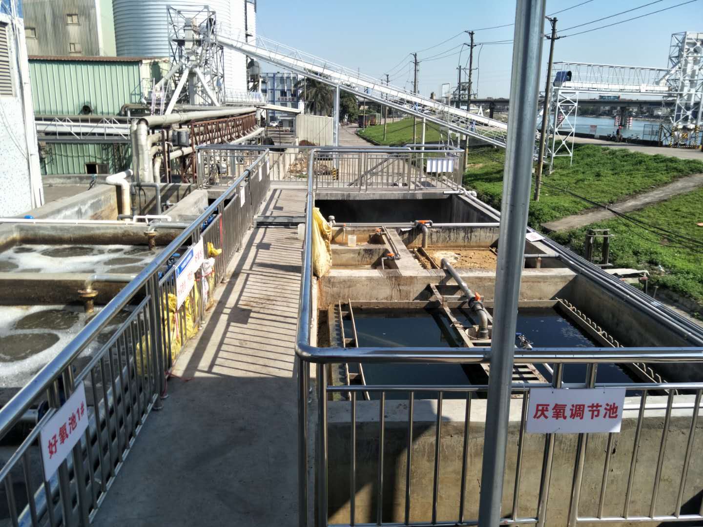 食品廢水植物處理技術(shù)，你知道嗎？